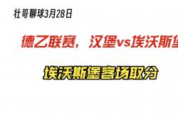 1xbet体育网页版入口-沃尔夫斯堡客场逼平对手，状态出色的简单介绍