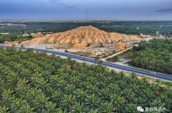 1xbet体育课程-沙特阿拉伯女足冠军名额似乎指日可待，各队战力激烈！的简单介绍