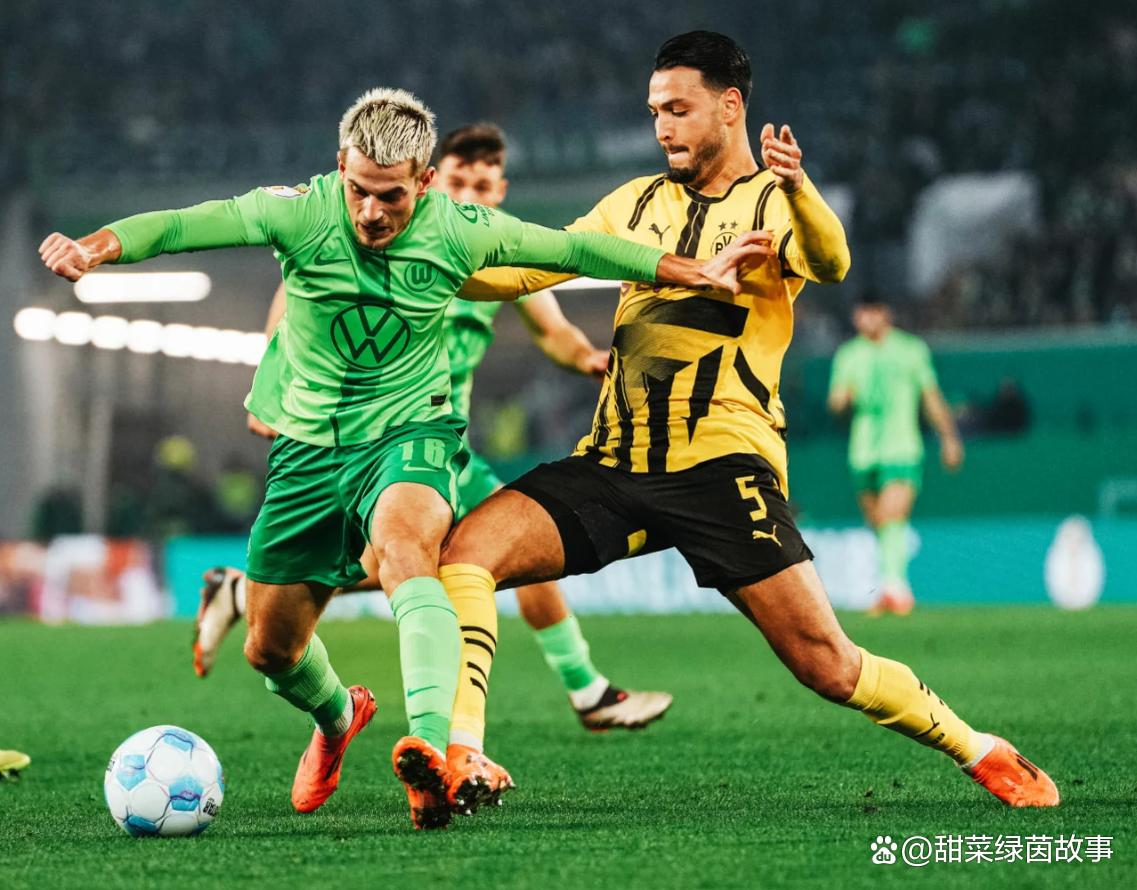 沃尔夫斯堡主帅赞扬球员拼搏精神的简单介绍 沃尔夫斯堡主帅赞扬球员拼搏精神的简单介绍